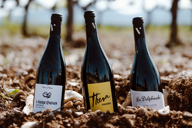 Vinsio au coeur de la Vallée du Rhône