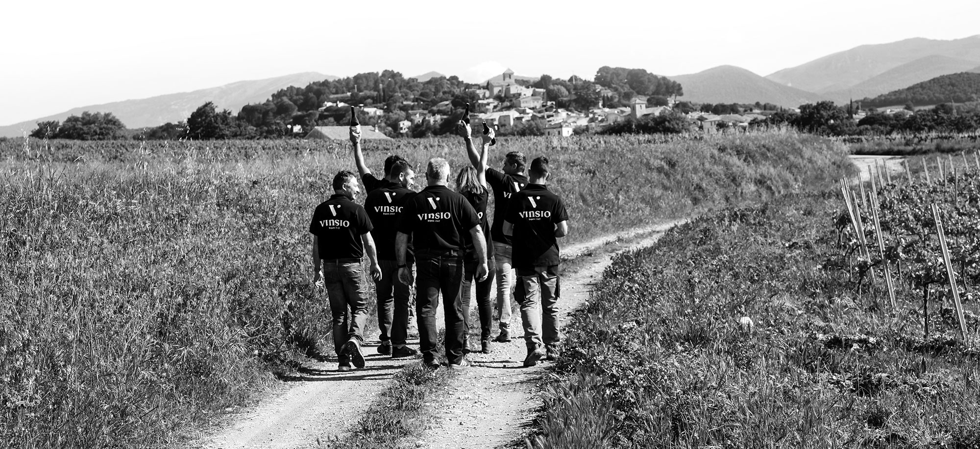 Vignoble Vinsobres de Vinsio