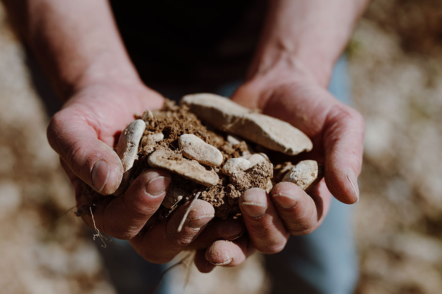 Cave Coopérative Vinsion / Vinsobraise