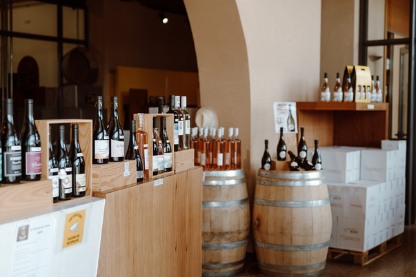 Vinsio au coeur de la Vallée du Rhône