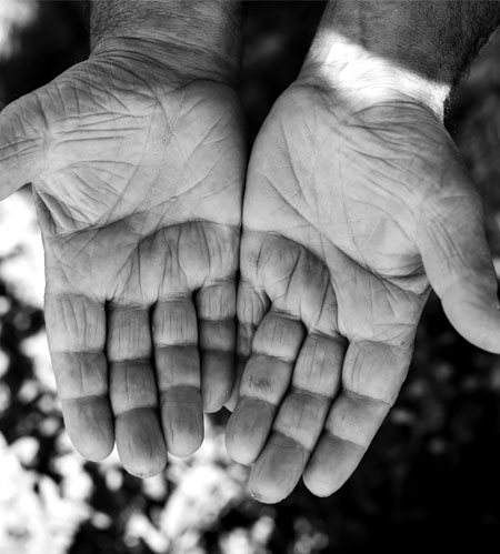 Vinsio au coeur de la Vallée du Rhône