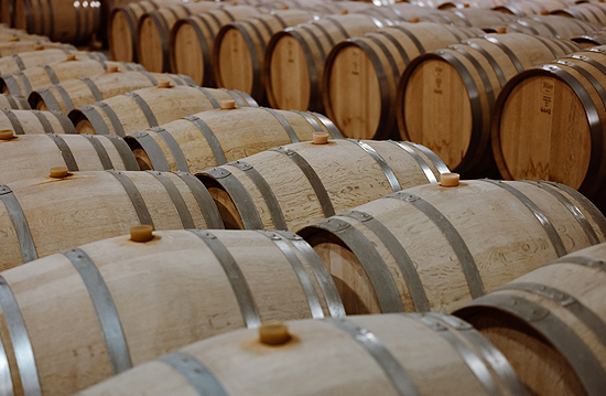 Vinsio au coeur de la Vallée du Rhône