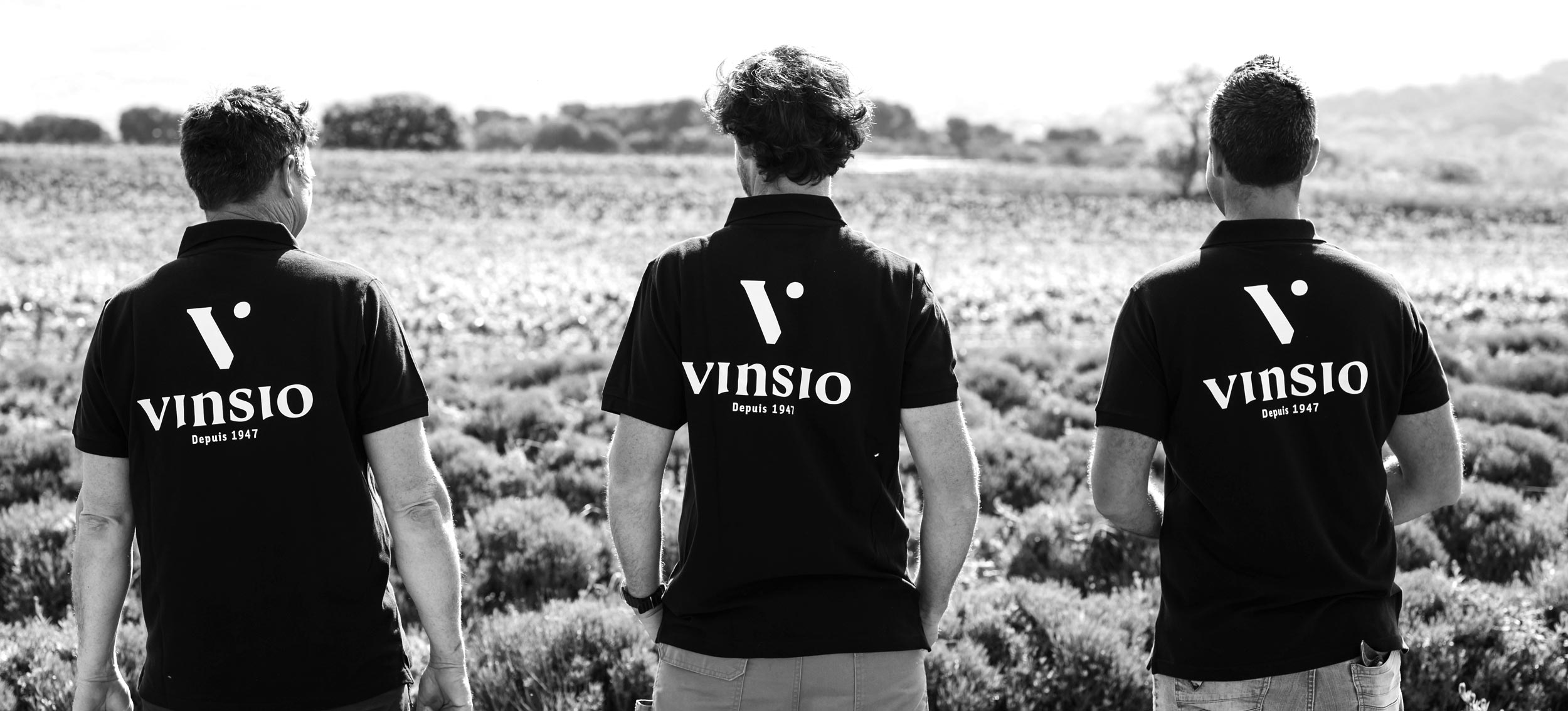 Vignoble Vinsobres de Vinsio