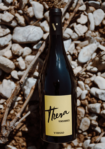 vinification de la cave Vinsio