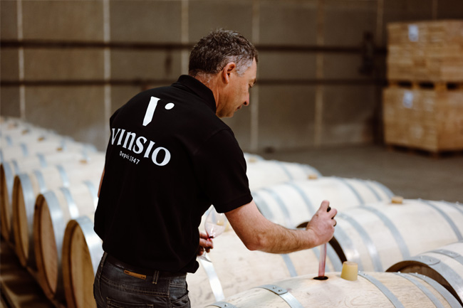vinification de la cave Vinsio