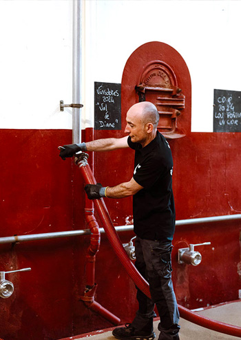 vinification de la cave Vinsio