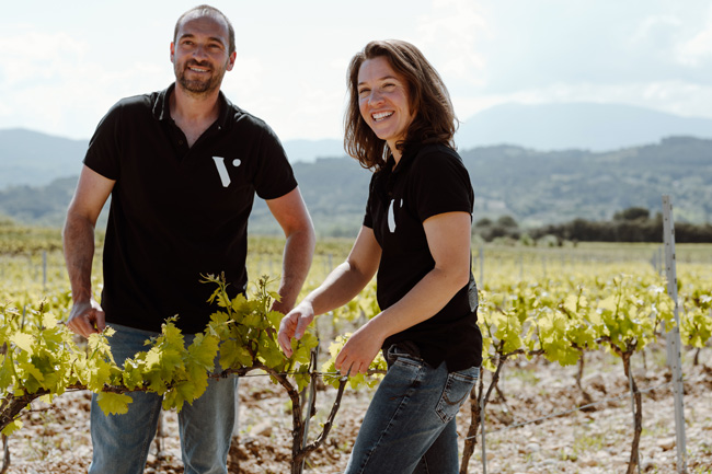 vinification de la cave Vinsio