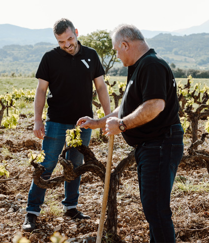 vinification de la cave Vinsio